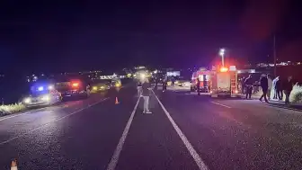Elazığ'da Domuz Kazası: 5 Yaralı