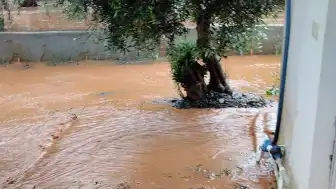 Gaziantep'te Sağanak Nedeniyle Taşınan Derelerde Temizlik Çalışmaları Başladı
