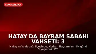 Hatay'da Bayram Sabahı Vahşeti: 3 Yaşındaki Oğlunu Öldürüp Uzuvlarını Kestiği İddiası
