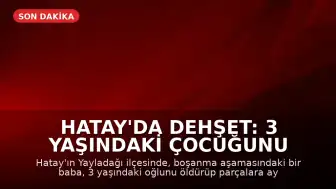 Hatay'da Dehşet: 3 Yaşındaki Çocuğunu Öldürüp Parçalara Ayırdı