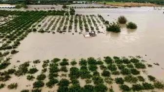 Hatay'da Sel Sonrası Tarım Arazilerindeki Hasar Ortaya Çıktı