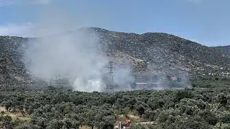 İzmir'in Bayındır İlçesinde Zeytinlik Alanda Yangın Çıktı