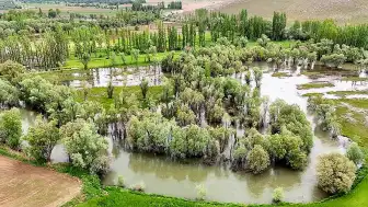 Kayseri'de Kano Sezonu Su Seviyesi Nedeniyle Ertelendi