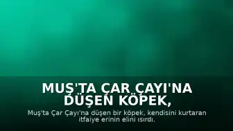 Muş'ta Çar Çayı'na Düşen Köpek, Kurtaran İtfaiye Erini Isırdı