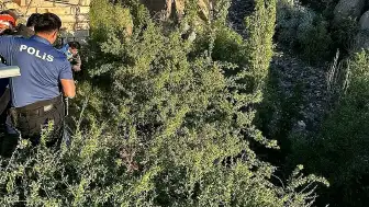 Nevşehir'de Dere Yatağında Ağaca Takılan Zihinsel Engelli Genç Kurtarıldı