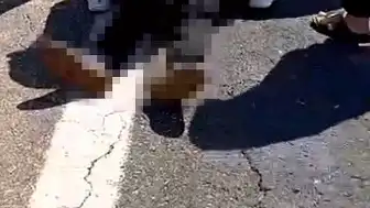 Şanlıurfa'da Kurbanlık Yüklü Kamyonet Devrildi: 1 Kişi Hayatını Kaybetti, 1 Kişi Yaralandı