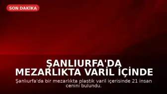 Şanlıurfa'da Mezarlıkta Varil İçinde 21 İnsan Cenini Bulundu