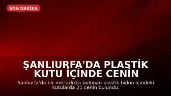 Şanlıurfa'da Plastik Kutu İçinde Cenin Bulundu