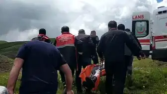 Sivas'ta Mantar Toplarken Ayı Saldırısına Uğrayan Vatandaşın Parmağı Koptu
