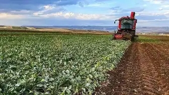 Tokat'ta Sel ve Dolu Felaketi Çiftçiyi Vurdu: Ziraat Odası Destek Sözü Verdi