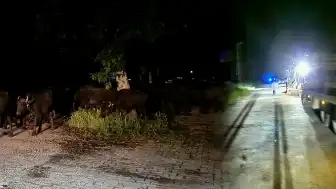 Tokat'ta Taşkın Riski Nedeniyle Bir Köy Tahliye Ediliyor