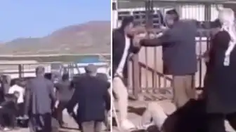 Van Hayvan Pazarı'nda Kanlı Kavga: 1 Ölü, 13 Yaralı