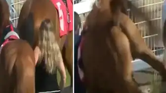 Yarış Atı Ahır Çalışanına Tekme Attı: Hafif Yaralanmayla Kurtuldu
