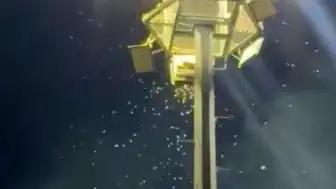 Adıyaman'daki Mesire Alanlarında Üvez Sorunu Vatandaşların Tepkisine Yol Açtı