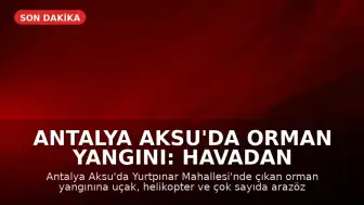 Antalya Aksu'da Orman Yangını: Havadan ve Karadan Müdahale Sürüyor