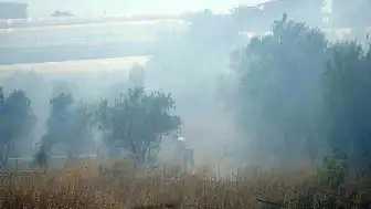 Antalya'da Çalılık Alanda Çıkan Yangın Seralara Ulaşmadan Söndürüldü