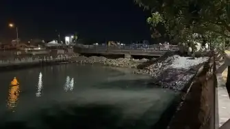 Bakırköy Çırpıcı Deresi Kıyısında Toplu Balık Ölümü Görüldü