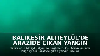 Balıkesir Altıeylül'de Arazide Çıkan Yangın Kontrol Altına Alındı