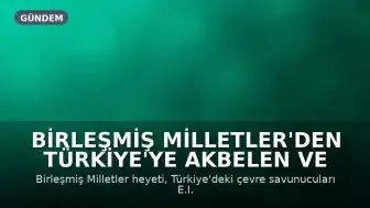 Birleşmiş Milletler'den Türkiye'ye Akbelen ve Marmaris Dosyası Üzerine Uyarı