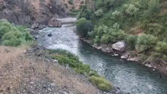 Bitlis Mutki'de Dere Acı Olayı: 3 Kardeşten 1'i Öldü, 1'i Kayıp