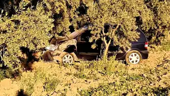 Bursa İznik'te Trafik Kazası: Kontrolden Çıkan Otomobil Ağaca Çarptı