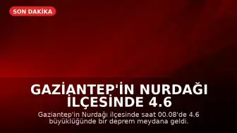 Gaziantep'in Nurdağı ilçesinde 4.6 büyüklüğünde deprem kaydedildi