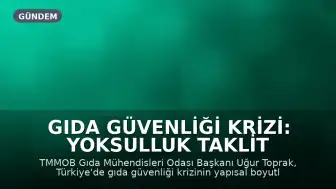 Gıda Güvenliği Krizi: Yoksulluk Taklit ve Tağşişi, Kirlilik Hastalıkları Besliyor