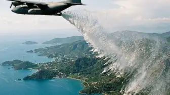 İzlanda'da Erozyonla Mücadelede Kullanılan Bitki Yeni Bir Ekolojik Krize Yol Açtı