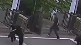 Japonya'da Ayı Saldırıları Sonucu Eğitime Ara Verildi