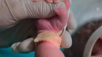Konya Kulu'da Minibüs Kazası: 20 Günlük Bebek Hayatını Kaybetti