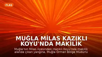 Muğla Milas Kazıklı Koyu'nda Makilik Alanda Yangın Meydana Geldi