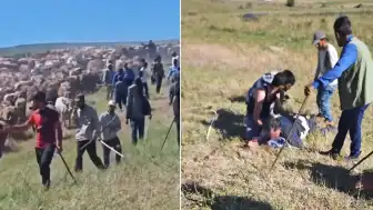 Muş'ta İki Köy Arasında Mera Tartışması Silahlı Çatışmaya Dönüştü: 3 Yaralı