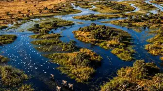 Okavango Nehri, Çöl Ortasında Dev Bir Vaha Oluşturuyor