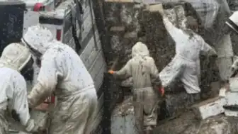 Teksas'ta Arı Kovanı Taşıyan Tır Devrildi: 2 Milyon Arı Serbest Kaldı