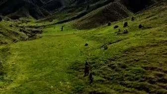 Tunceli'de Mantar Toplayan 3 Kişi Ayı Saldırısına Uğradı