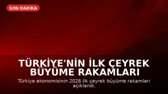 Türkiye'nin İlk Çeyrek Büyüme Rakamları Açıklandı: Bilgi ve İletişim Sektörü Öne Çıktı