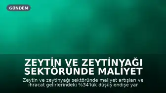 Zeytin ve Zeytinyağı Sektöründe Maliyet ve İhracat Kaygısı: Tariş Zeytin ve Zeytinyağı Birliği Başkanı Fikret Akova: "Devletin minimum bir Avro zeytinyağına destekleme vermesi lazım"