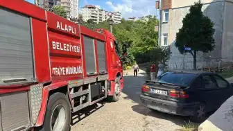 Zonguldak Alaplı'da Gaz Kaçağı Nedeniyle Piknik Tüpü Alev Aldı