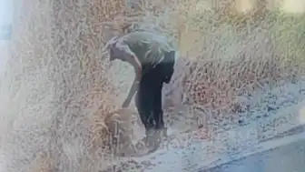 Ankara'da Ot Yangını Kundaklama Çıktı: Güvenlik Kamerası Kayıttaydı