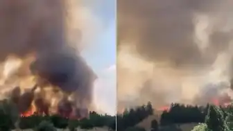 Ankara'da Otluk Alanda Çıkan Yangın Söndürüldü