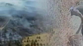 Ankara'da Otluk Alanda Çıkan Yangının Kundaklama Olduğu Ortaya Çıktı