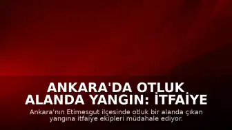 Ankara'da Otluk Alanda Yangın: İtfaiye Ekipleri Müdahale Ediyor