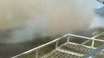 Aydın Kuyucak'ta Orman Yangını Çıktı