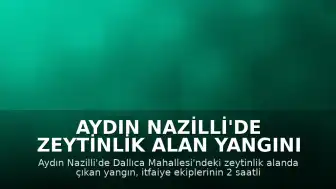 Aydın Nazilli'de Zeytinlik Alan Yangını Kontrol Altına Alındı