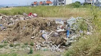 Ayvalık Karakoç Deresi Sulak Alanı'ndaki Çevre Kirliliğine İlişkin İnceleme Başlatıldı