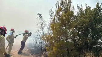 Balıkesir Gömeç'te Orman Yangınına Havadan ve Karadan Müdahale Sürüyor