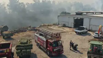 Balıkesir'de Kepsut'un Ardından Altıeylül ve Karesi İlçelerinde Yangınlar Çıktı