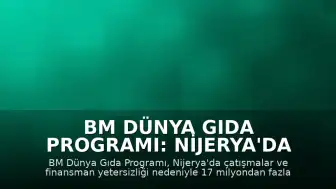 BM Dünya Gıda Programı: Nijerya'da 17 milyondan fazla kişi açlık tehlikesiyle karşı karşıya