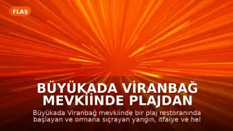 Büyükada Viranbağ Mevkiinde Plajdan Ormana Sıçrayan Yangın Kontrol Altına Alındı
