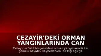 Cezayir'deki Orman Yangınlarında Can Kaybı ve Yaralanma Bildirildi